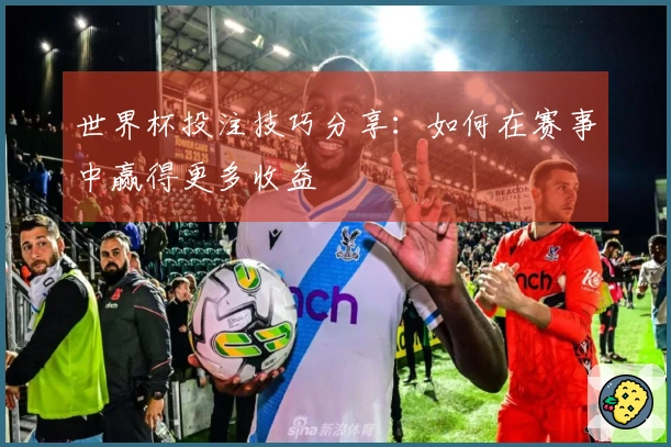 世界杯投注技巧分享：如何在赛事中赢得更多收益