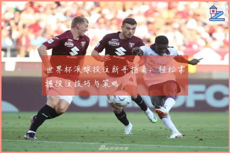 世界杯滚球投注新手指南，轻松掌握投注技巧与策略