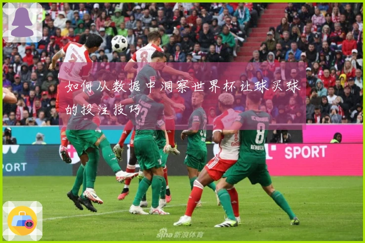 如何从数据中洞察世界杯让球买球的投注技巧
