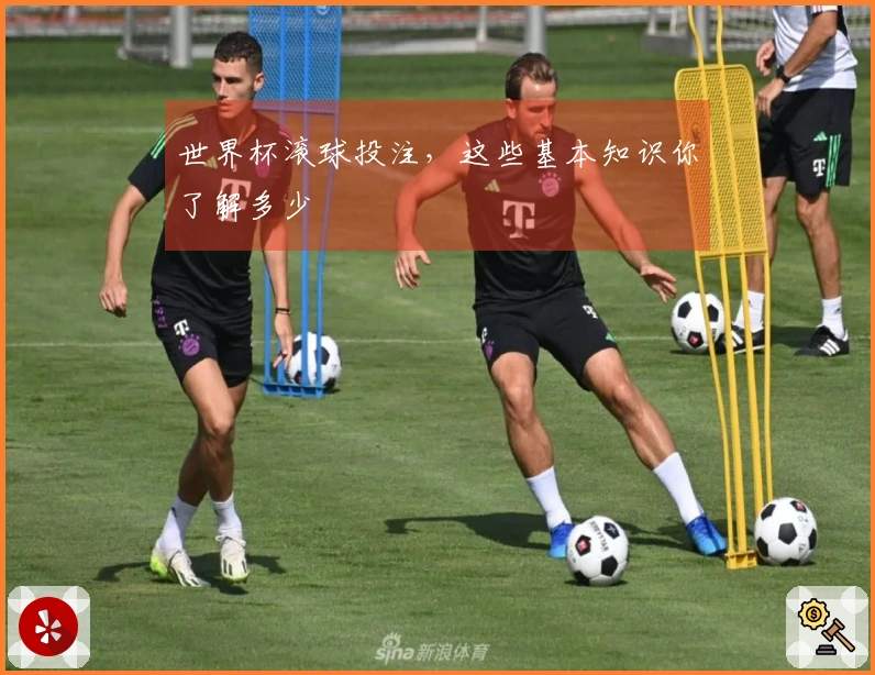 世界杯滚球投注，这些基本知识你了解多少