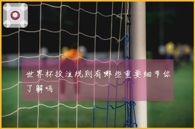 世界杯投注规则有哪些重要细节你了解吗