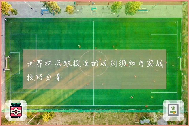 世界杯买球投注的规则须知与实战技巧分享