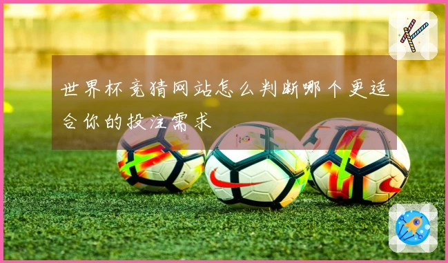 世界杯竞猜网站怎么判断哪个更适合你的投注需求