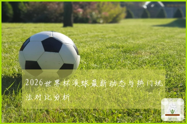 2026世界杯滚球最新动态与热门玩法对比分析