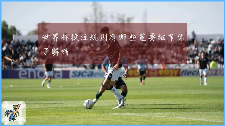 世界杯投注规则有哪些重要细节你了解吗