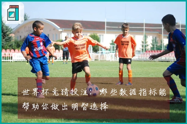 世界杯竞猜投注：哪些数据指标能帮助你做出明智选择
