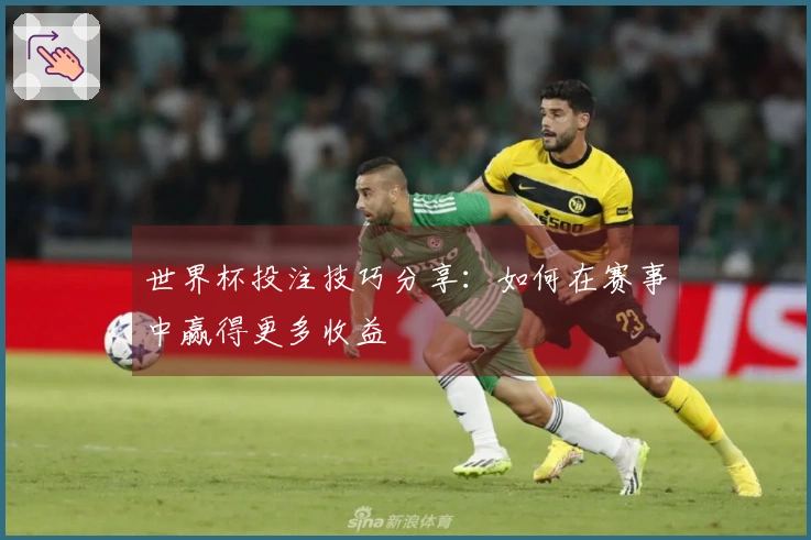 世界杯投注技巧分享：如何在赛事中赢得更多收益