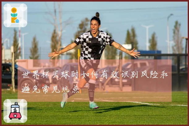 世界杯买球时如何有效识别风险和避免常见坑点