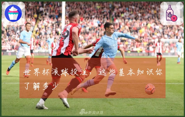 世界杯滚球投注,这些基本知识你了解多少