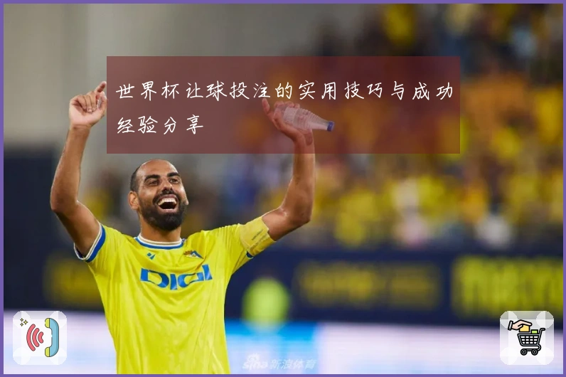 世界杯让球投注的实用技巧与成功经验分享