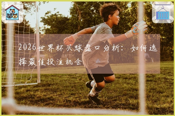 2026世界杯买球盘口分析：如何选择最佳投注机会