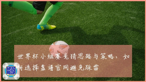 世界杯小组赛竞猜思路与策略，如何选择靠谱官网避免踩雷