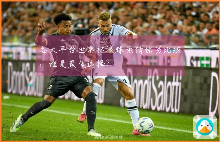 各大平台世界杯滚球竞猜优劣比较，谁是最佳选择？