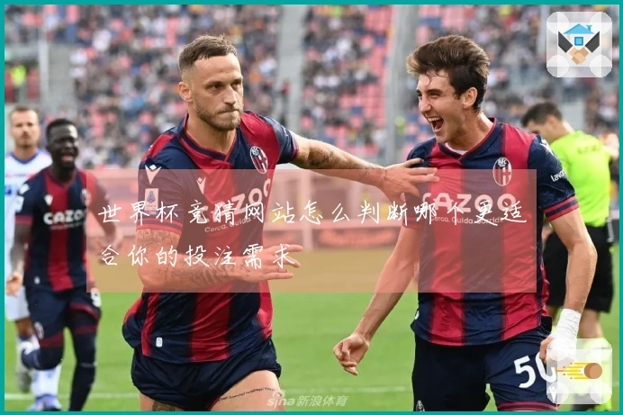 世界杯竞猜网站怎么判断哪个更适合你的投注需求