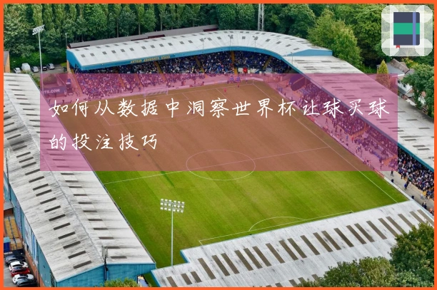 如何从数据中洞察世界杯让球买球的投注技巧