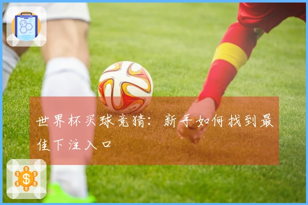 世界杯买球竞猜：新手如何找到最佳下注入口