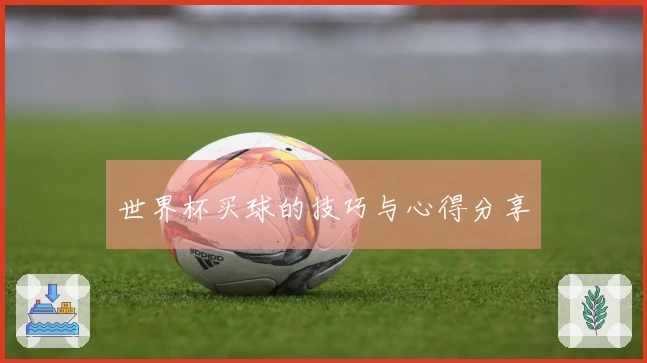 世界杯买球的技巧与心得分享